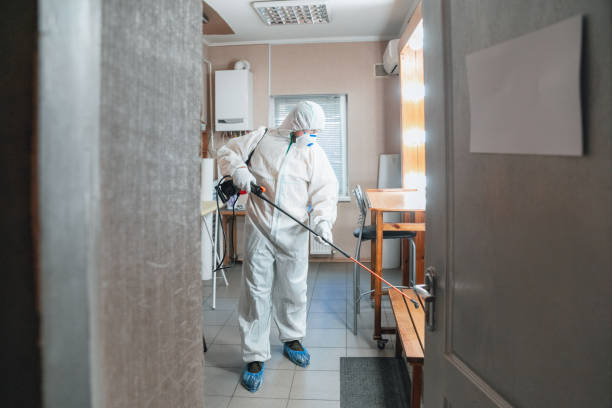 Forensic Mold Investigation in Pine, AZ