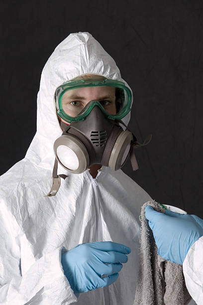 Best Mold Remediation for Healthcare Facilities  in Pine, AZ